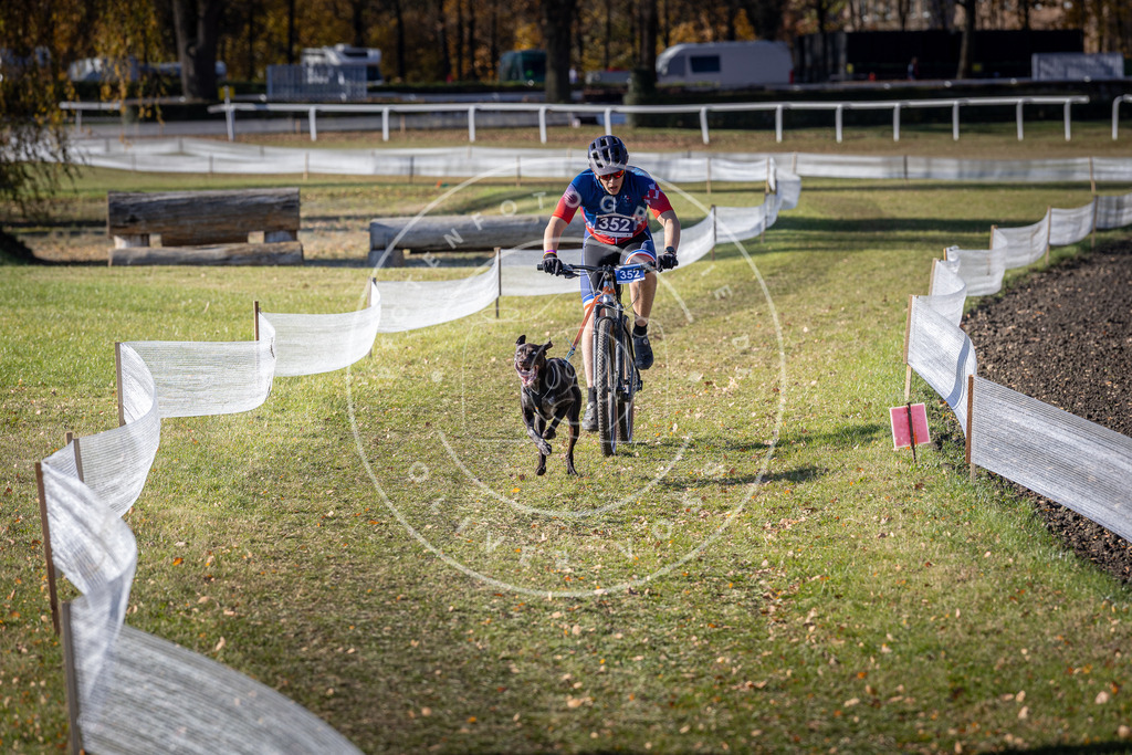 CaniXpix_DV3A7173 | Hundefotografie, Tierfotograf, Pfotenfotografie, Fotoshooting Hund, Hunde Portrait, Hundesport, Hundeportraits, Heideshooting, Hunde, Sportfotograf, Hundefotograf, Turnierhundsport, THS,  - Realisiert mit Pictrs.com