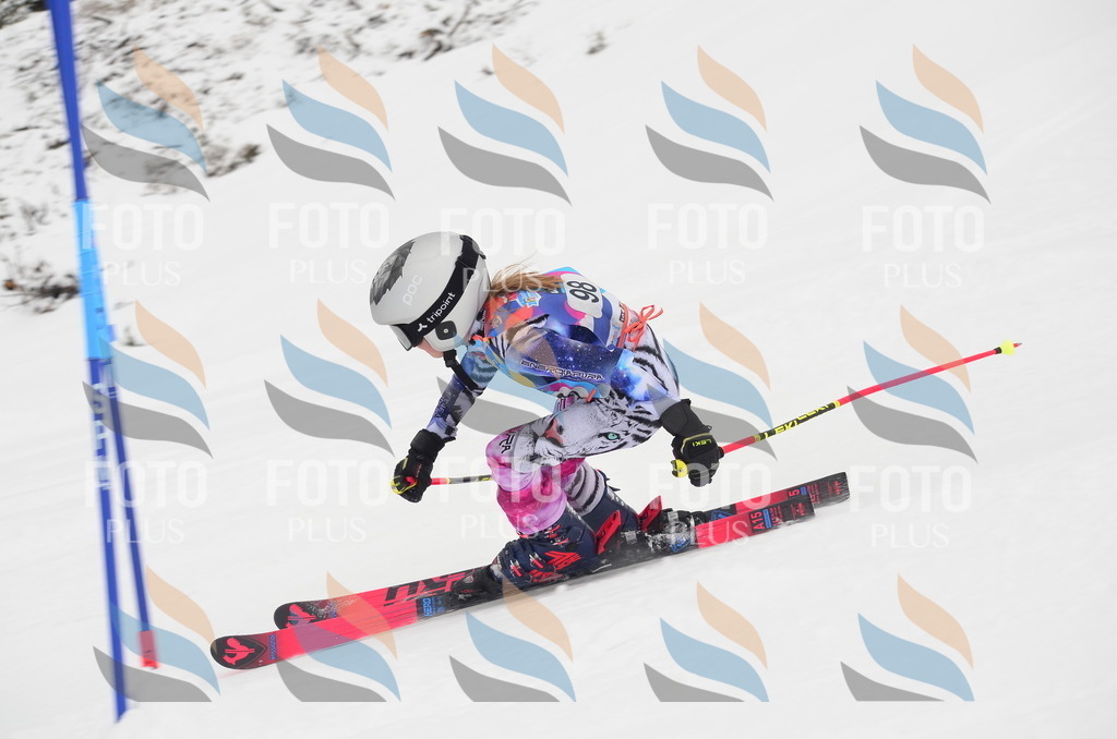 C1369 | holidayphoto