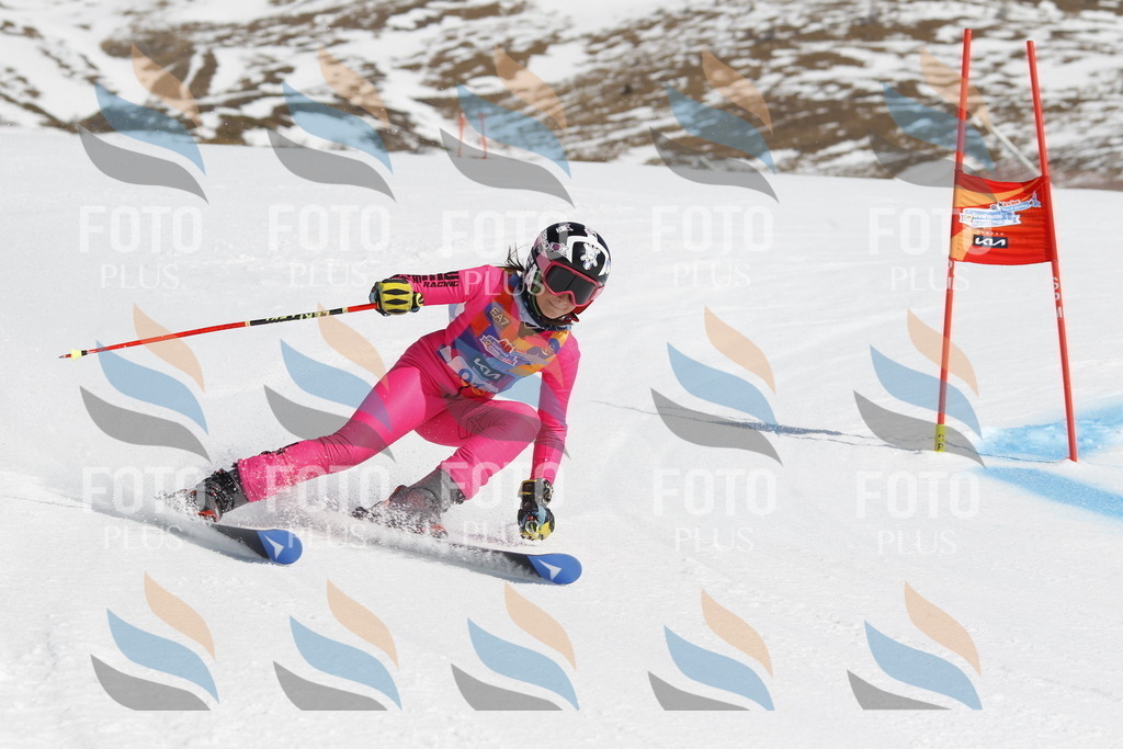 _U3G0181 | holidayphoto