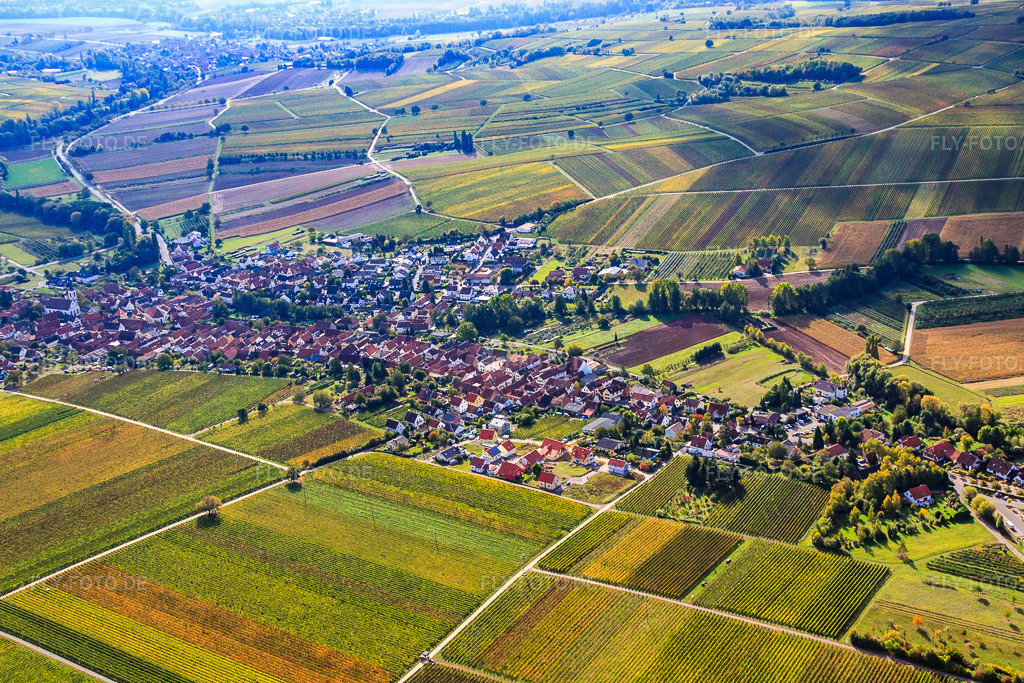 Luftbild: Winzerdorf zwischen Weinbergen von Norden in Göcklingen im Bundesland Rheinland-Pfalz in Deutschland. Foto: IMG_22378.jpg vom 15.10.2009 durch Werner Riehm/FLY-FOTO.de