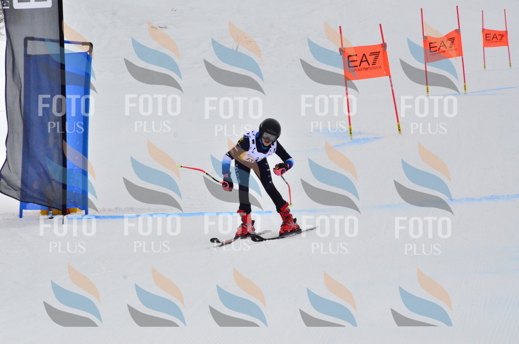 _ELE3759 | holidayphoto