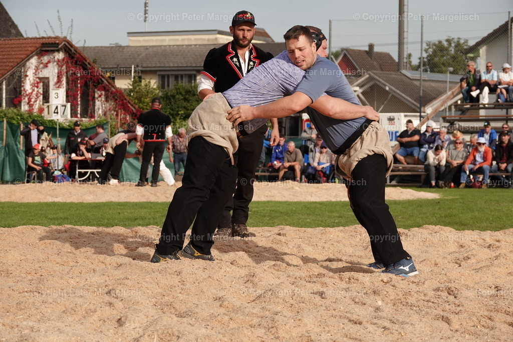 DSC08440 | Schwingen - Realisiert mit Pictrs.com