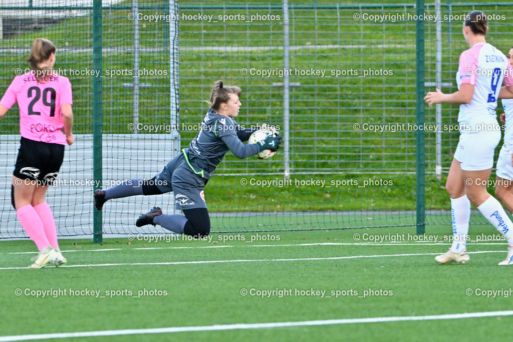 Liwodruck Carinthians Hornets vs. FK Austria Wien Frauen 19.11.2023 | #29 Selina Tamara Selinger, #1 Anja Meier, Flugeinlage