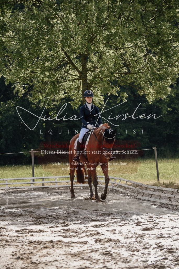 DSC_8868 | Pferde- und Turnierfotografie in Westsachsen. Pferdeportraits, Auftragszeichnungen und intuitive Kunst.