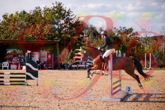 2026_10_03_Siefer-Hof_155332_Z81_73041370 | Professionelle Reitsport-, Turnier- und Eventfotografie von Robert Broda. Galerien mit ausgewählten und bearbeiteten Bildern direkt online ansehen und bestellen.