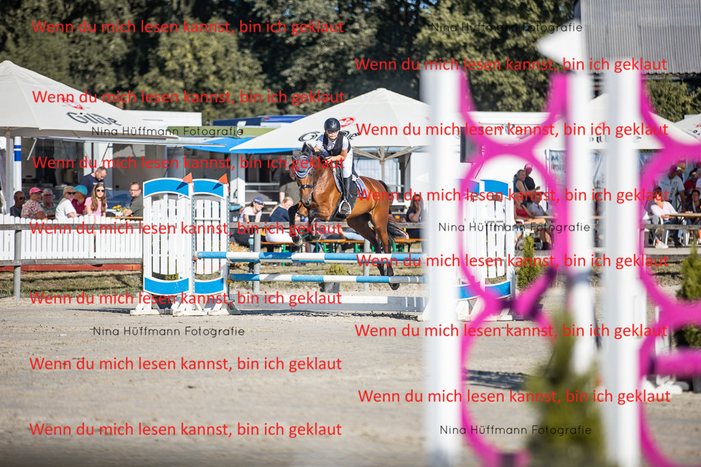 BK1A7389 | Turnierbilder Turnierfotos Nina Hüffmann Turnierfotografie Pferdefotografie Tierzeichnung Haustierzeichnung Pferdezeichnung Hundezeichnung Videograf  - Realisiert mit Pictrs.com