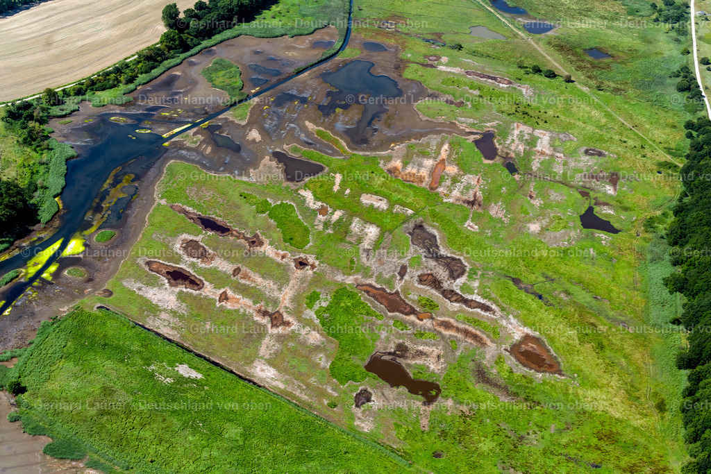 4037627 | Naturschutzgebiet Geltinger Birk bei Nieby