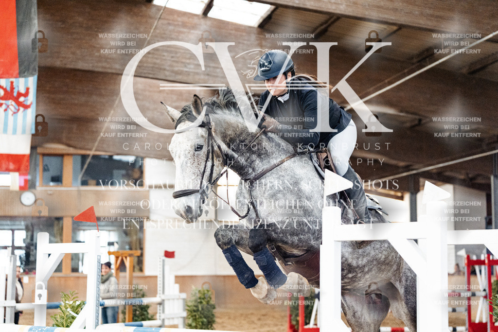 CK906347 | Turnierfotografie Pferdefotografie Trier Rheinland-Pfalz Pferdesport Reitsport Tierfotografie Sportfotografie Pferdevideo Pferdevideografie Equestrianvideography equestrianphotography  - Realisiert mit Pictrs.com