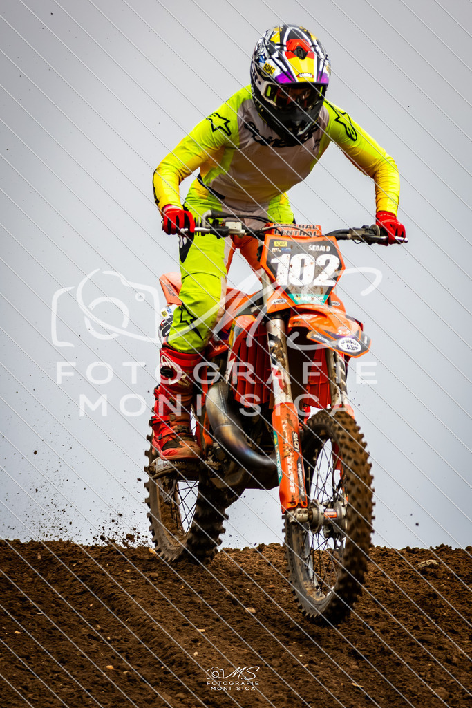 20260321-162A1128 | moni.sica.fotografie - Realisiert mit Pictrs.com