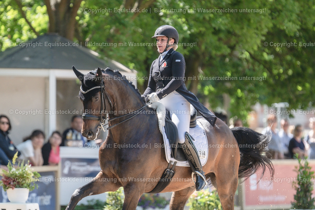 20230528_03_GP-Special-Tour_0042 | equistock
