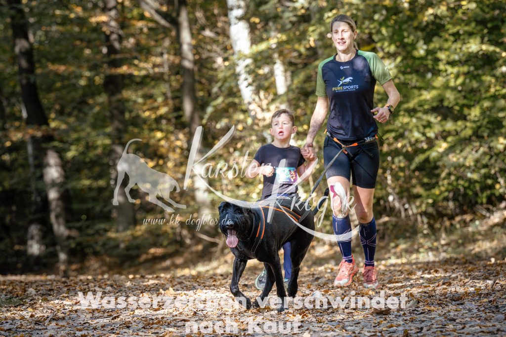 1240_ZZ95871 | kk-dogfotos