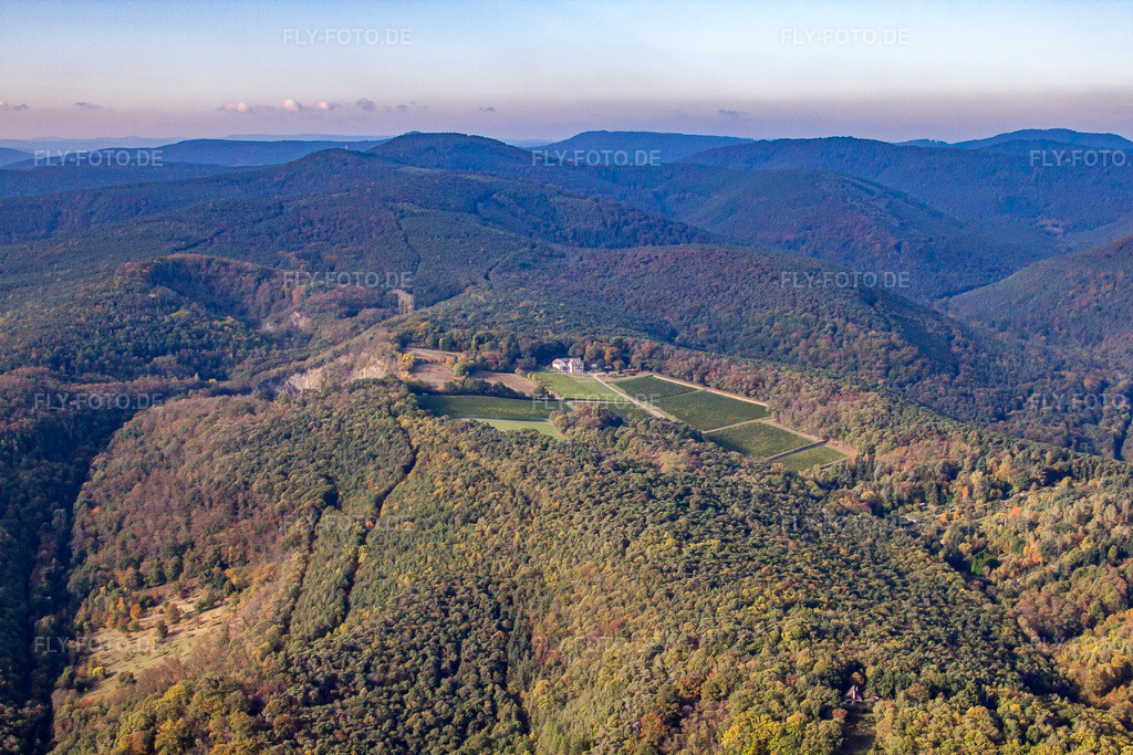 Luftbild: Odinstal, höchstes Weingut der Pfalz in Wachenheim an der Weinstraße im Bundesland Rheinland-Pfalz in Deutschland. Foto: IMG_21982.jpg vom 15.10.2009 durch Werner Riehm/FLY-FOTO.de