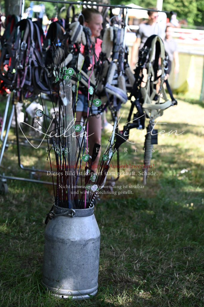 DSC_1824 | Pferde- und Turnierfotografie in Westsachsen. Pferdeportraits, Auftragszeichnungen und intuitive Kunst.