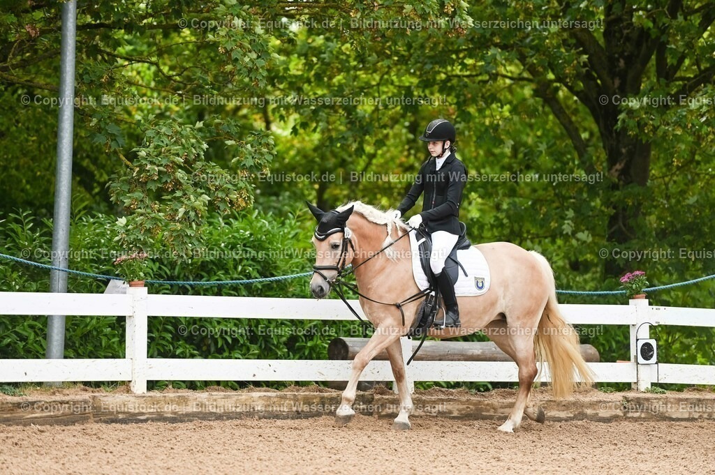 20230716_10-1_Reiter-WB Schritt - Trab - Galopp_0011 | equistock