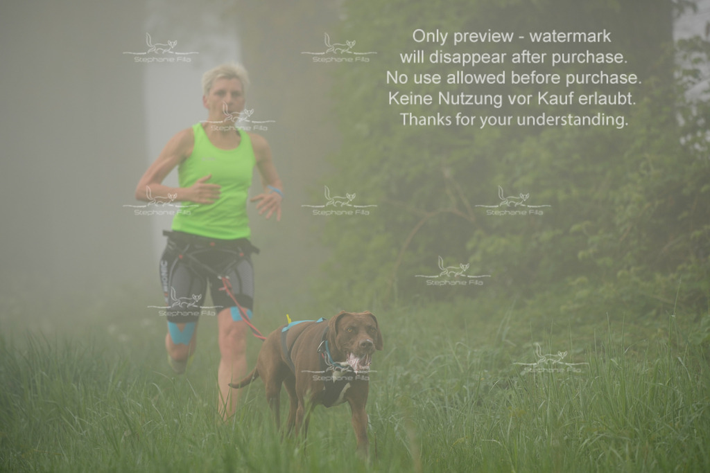 SA_GL2-97 | stephaniefillaphotographie - Realisiert mit Pictrs.com