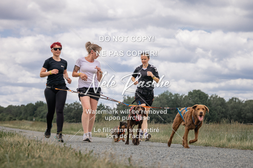 nelerasche_BuHu2026_SaCC1100-1200_234 | nelerasche
