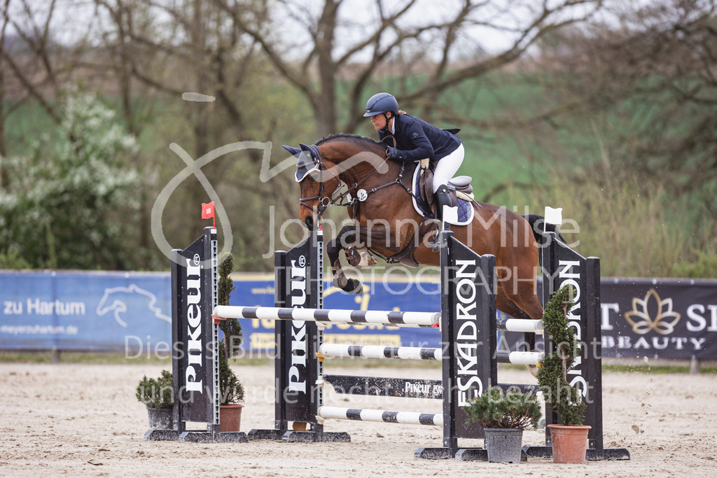 250417_Springpferde-L2-326 | Deine schönsten Turniermomente als professionelle Fotos! Entdecke hochwertige Pferdesport-Fotografie im Online-Shop. Jetzt Fotos finden & bestellen!