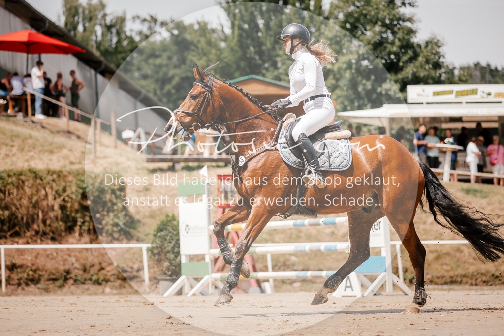 3I6A7767 | Stimmungsvolle Portraits und Reitsportfotografie im Ruhrgebiet und im Münsterland.

Pferdefotografie, Hundefotografie, Tierfotografie, Reportagen, Portraits von Tier und Mensch, Turnierfotografie in Bochum, Recklinghausen, Marl, Haltern am See, Dülmen.. - Realisiert mit Pictrs.com