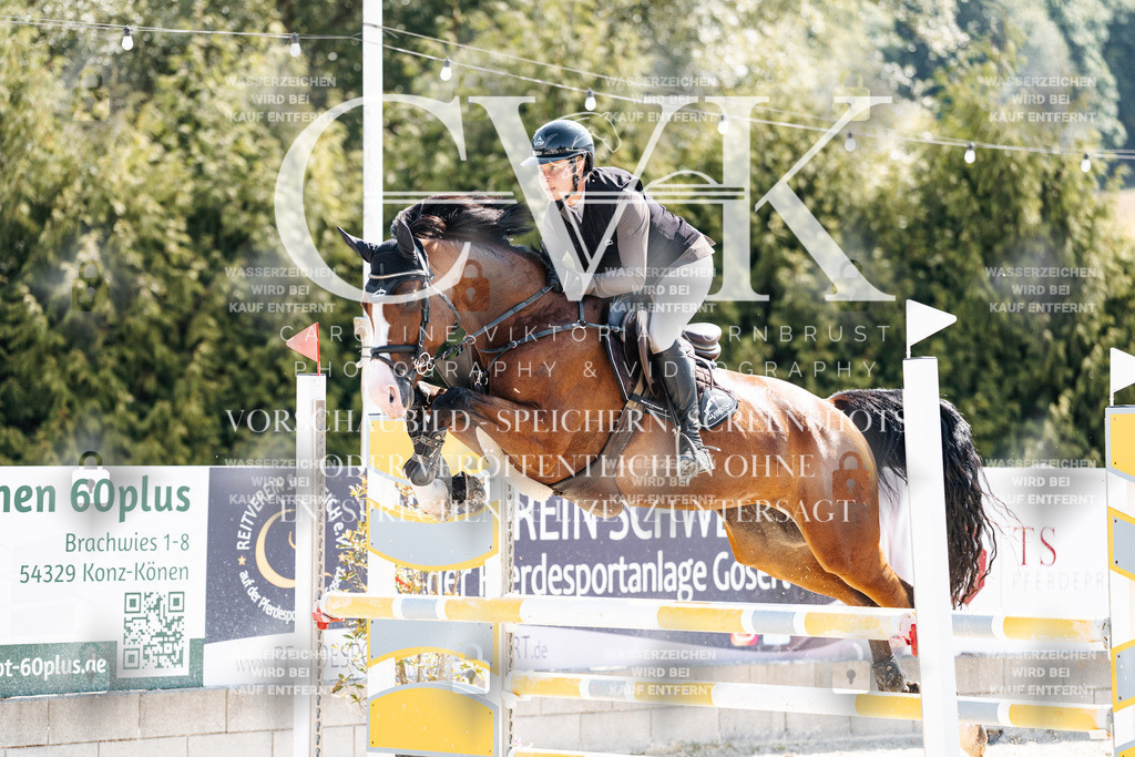 CK908354 | Turnierfotografie Pferdefotografie Trier Rheinland-Pfalz Pferdesport Reitsport Tierfotografie Sportfotografie Pferdevideo Pferdevideografie Equestrianvideography equestrianphotography  - Realisiert mit Pictrs.com