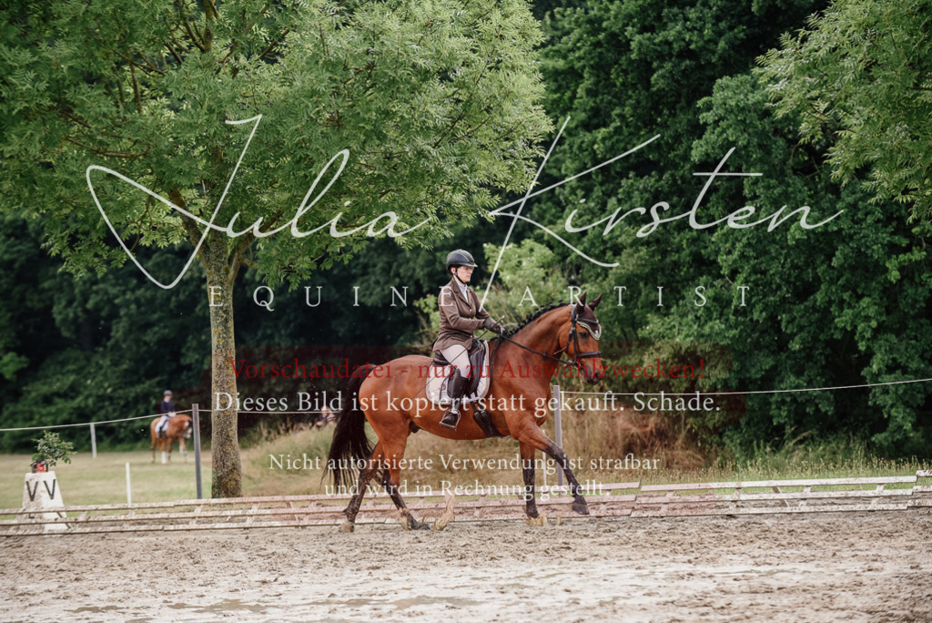 DSC_9540 | Pferde- und Turnierfotografie in Westsachsen. Pferdeportraits, Auftragszeichnungen und intuitive Kunst.