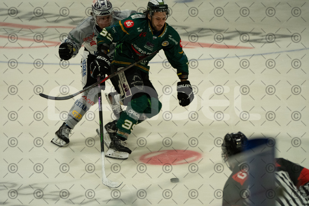 Alligatros_vs_Leipzig_11_09_2026-26 | Die Fotogalerie von Daddel: professionelle Bilder von Sport, Events und Unternehmen aus Franken. Jetzt Galerien durchstöbern und Lieblingsfotos bestellen. - Realisiert mit Pictrs.com