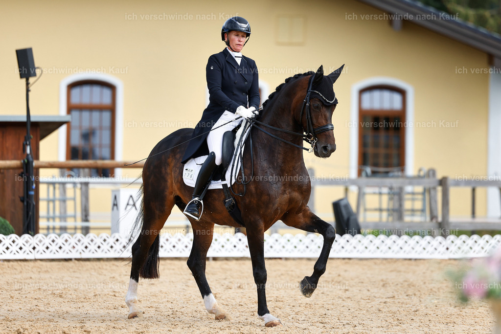 6-167-AMATUER-DRESSUR S_  -StoibPH-3416 | working equitationturnier fotograf videograf stoibphotography marixx film working equitation deutschland reitsport turnierfotografie eventfotografie equestrian events
