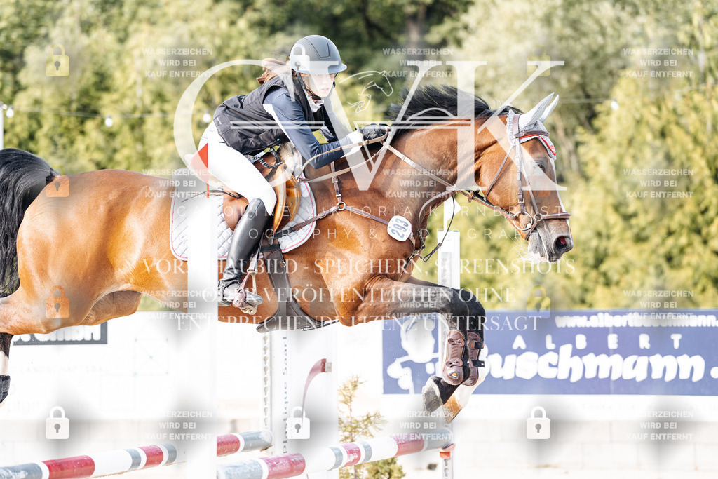 CK906886 | Turnierfotografie Pferdefotografie Trier Rheinland-Pfalz Pferdesport Reitsport Tierfotografie Sportfotografie Pferdevideo Pferdevideografie Equestrianvideography equestrianphotography  - Realisiert mit Pictrs.com