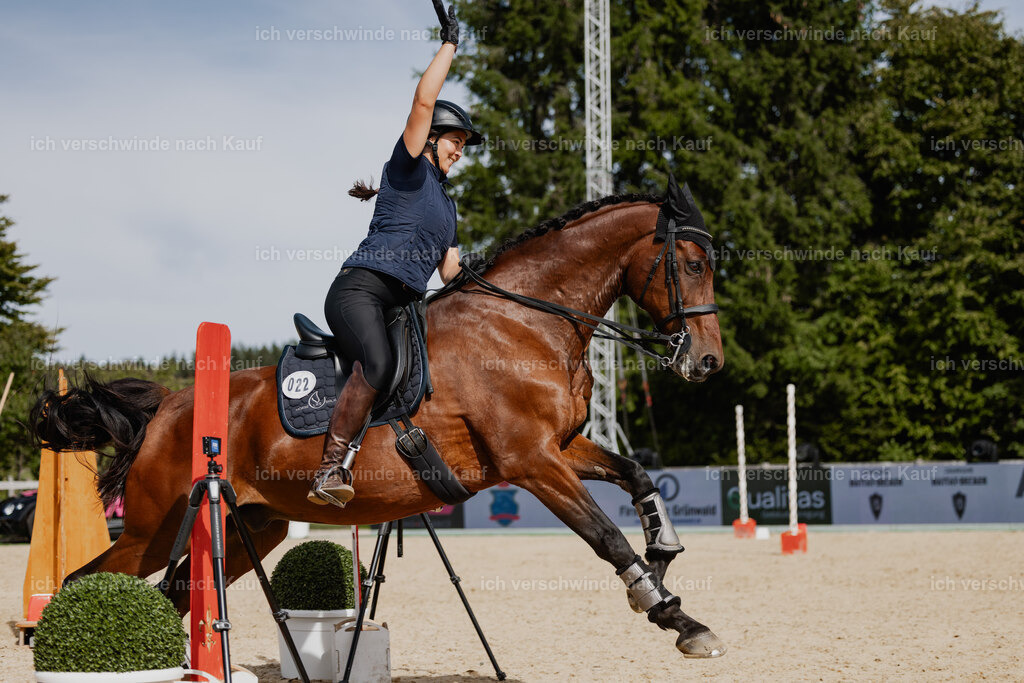Nadine22_FHC2025-128 | working equitationturnier fotograf videograf stoibphotography marixx film working equitation deutschland reitsport turnierfotografie eventfotografie equestrian events