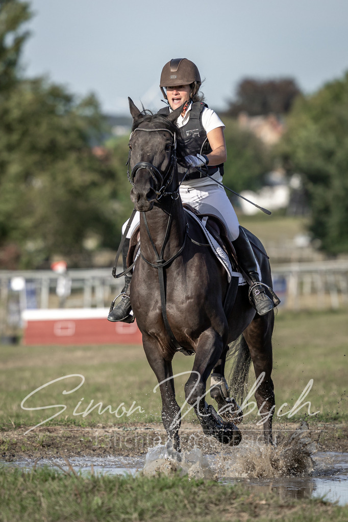 20250907-_3LI8595 | Tierfotografie Pferde, Hunde, Katzen, Haustiere.
Turnierfotografie Reitturniere, Reiten, Springreiten, Dressur in Hanau, dem Main-Kinzig-Kreis und dem Rhein-Main- Gebiet um Frankfurt