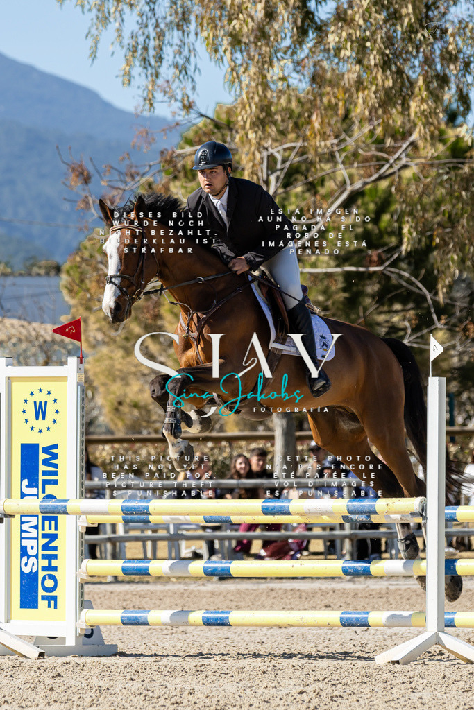 IMG_0656 | s-jay-photography - Realisiert mit Pictrs.com