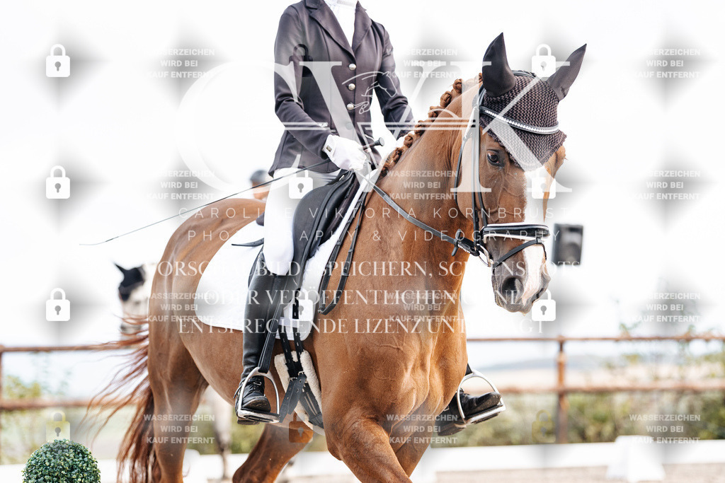 CK900550 | Turnierfotografie Pferdefotografie Trier Rheinland-Pfalz Pferdesport Reitsport Tierfotografie Sportfotografie Pferdevideo Pferdevideografie Equestrianvideography equestrianphotography  - Realisiert mit Pictrs.com