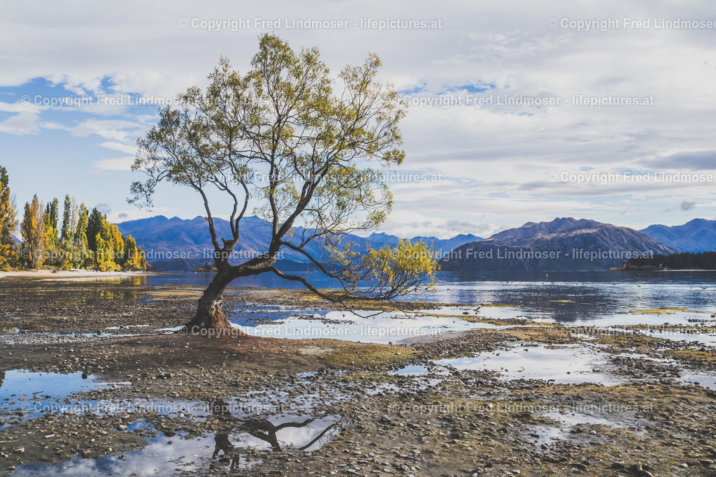 Neuseeland-1110 | Fotos und Fotoprodukte - Realisiert mit Pictrs.com