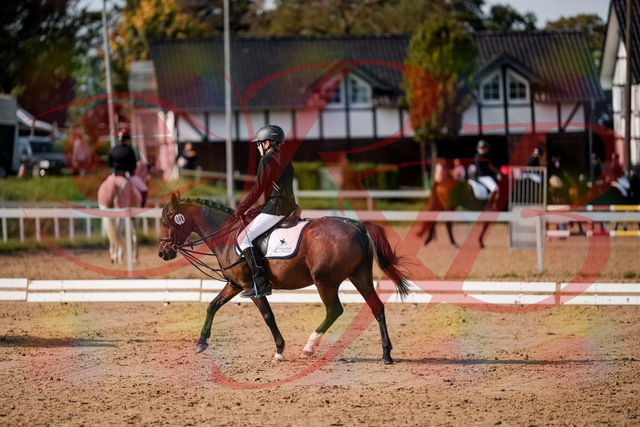 2026_10_03_Siefer-Hof_122031_Z63_43286584 | Professionelle Reitsport-, Turnier- und Eventfotografie von Robert Broda. Galerien mit ausgewählten und bearbeiteten Bildern direkt online ansehen und bestellen.