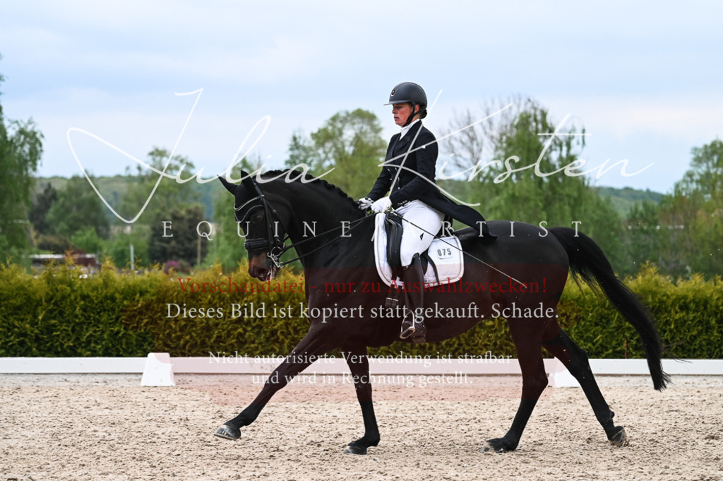 20230513_JK-Röhrsdorf-13-421 | Pferde- und Turnierfotografie in Westsachsen. Pferdeportraits, Auftragszeichnungen und intuitive Kunst.