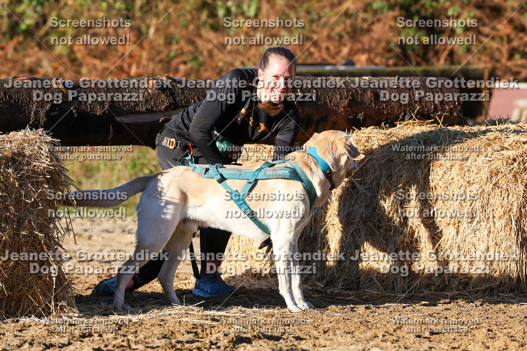 Dog Paparazzi - Strongdog 10-25-1141 | Dog Paparazzi Jeanette Grottendiek Fotografie & Videografie - Realisiert mit Pictrs.com
