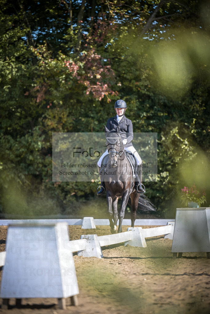 DOS_1594 | Entdecke hochwertige Reitturnierfotos von Foto Oger. Professionell, emotional und authentisch – jetzt Lieblingsmomente im Shop bestellen.Deutschlandweite Turnierfotografie. - Realisiert mit Pictrs.com