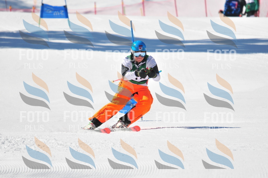 C3587 | holidayphoto