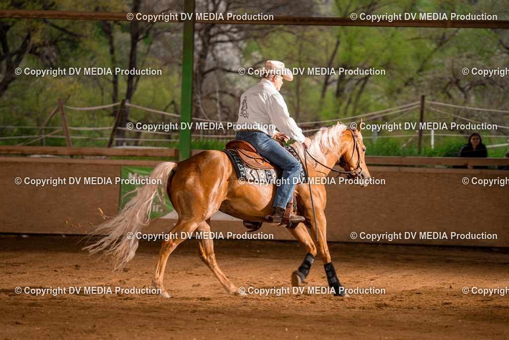 BA301277 | dv-media-shop - Realisiert mit Pictrs.com