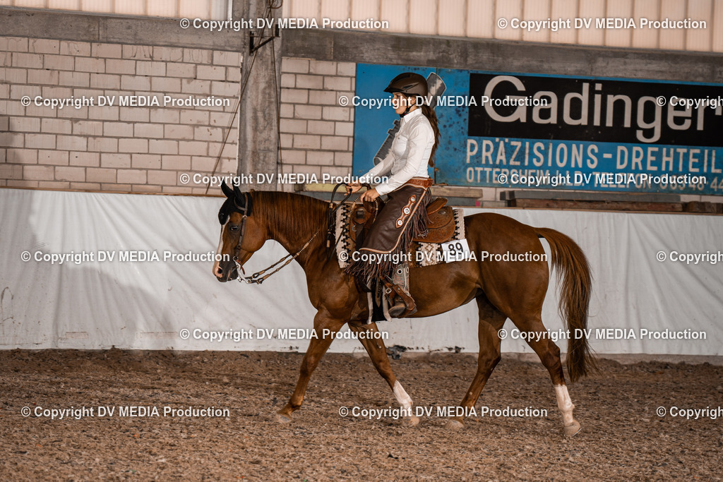 ZH200470 | dv-media-shop - Realisiert mit Pictrs.com