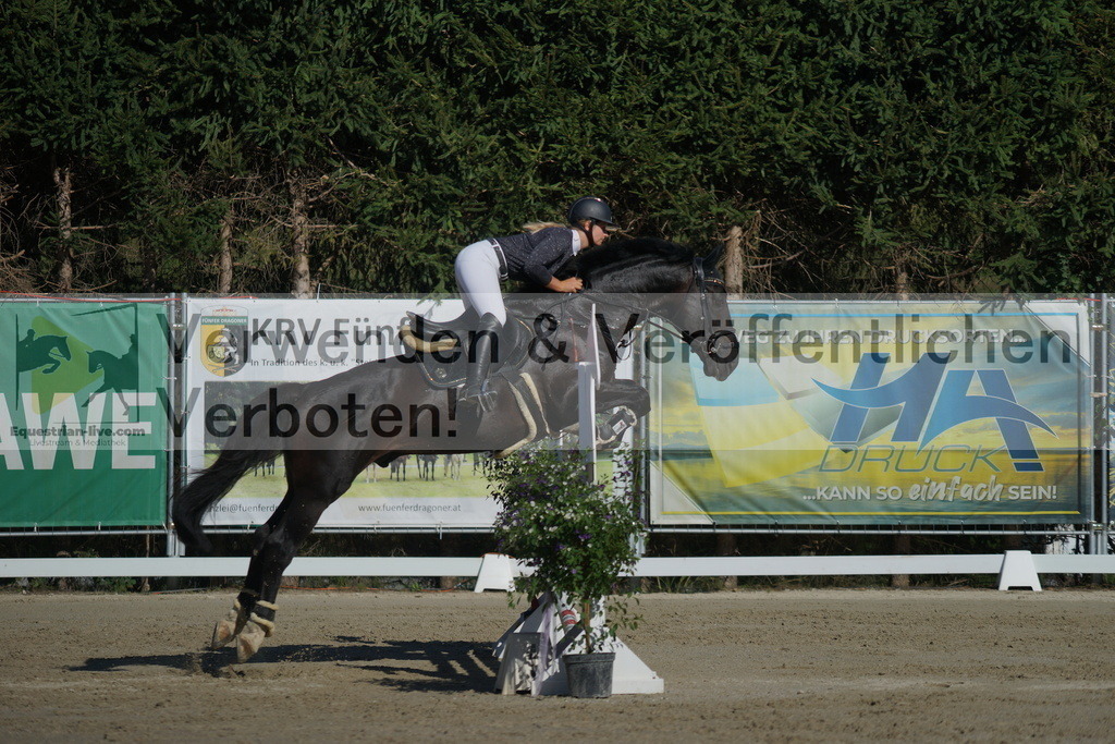DSC01133 | equestrian-live-com