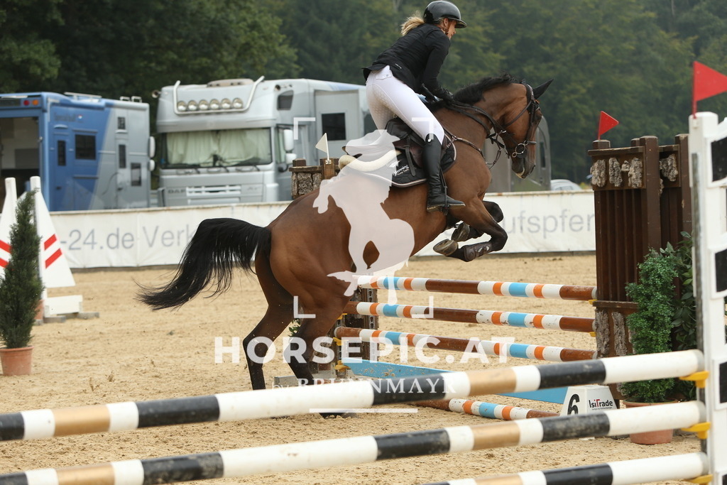 DL2Q6068 | Willkommen bei Brunnmayr - Design & Fotografie – Ihrem Spezialisten für Reitturniere und Pferdeveranstaltungen in Oberösterreich, Salzburg und Bayern! Seit über 17 Jahren sind wir leidenschaftlich dabei.