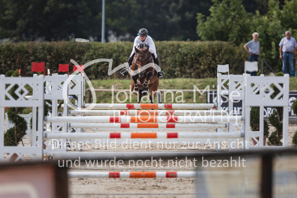 240627_LüPfSpTa_SprPf-M-221 | Deine schönsten Turniermomente als professionelle Fotos! Entdecke hochwertige Pferdesport-Fotografie im Online-Shop. Jetzt Fotos finden & bestellen!