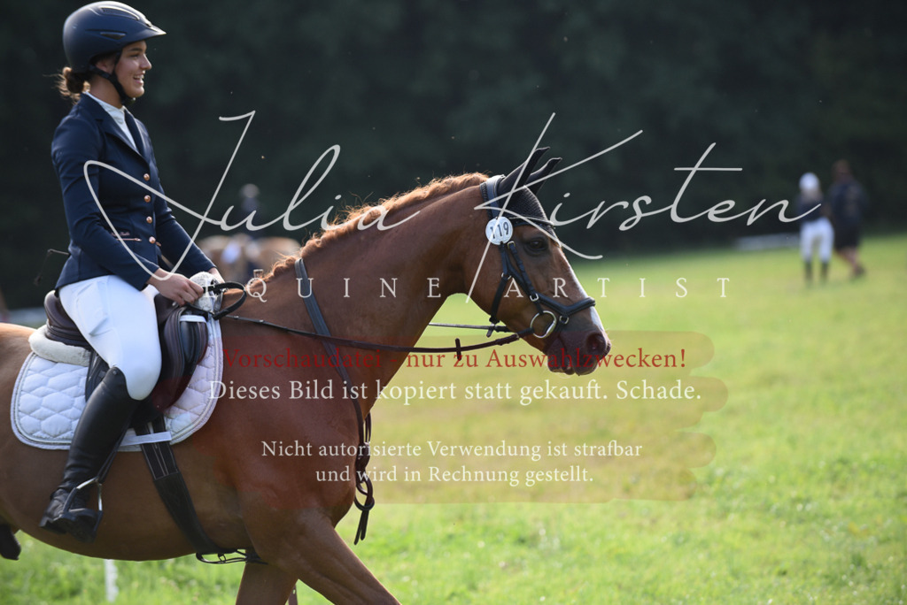 DSC_8540 | Pferde- und Turnierfotografie in Westsachsen. Pferdeportraits, Auftragszeichnungen und intuitive Kunst.