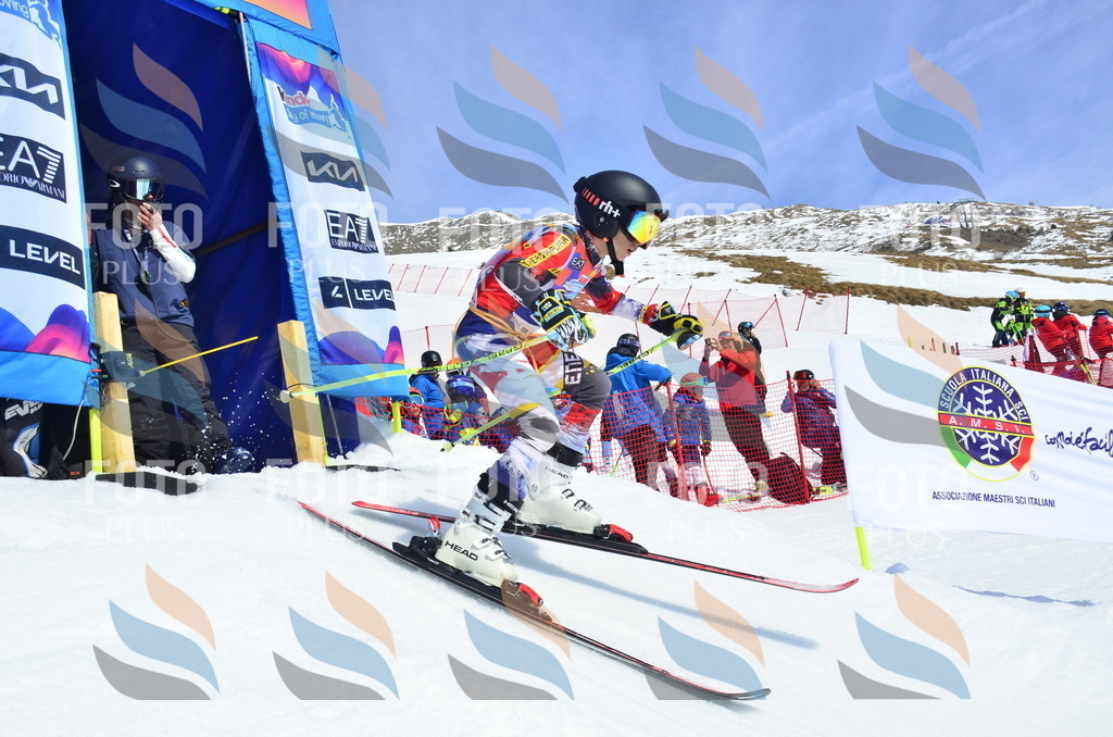 _ELE1349 | holidayphoto