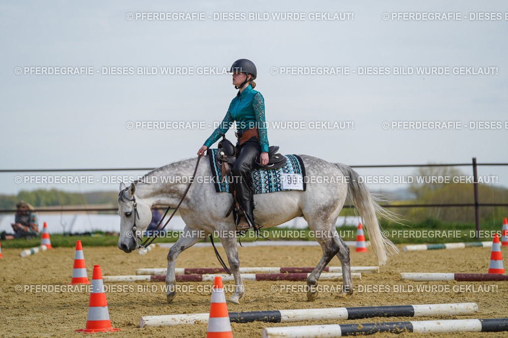 DSC04653 | Pferdegrafie