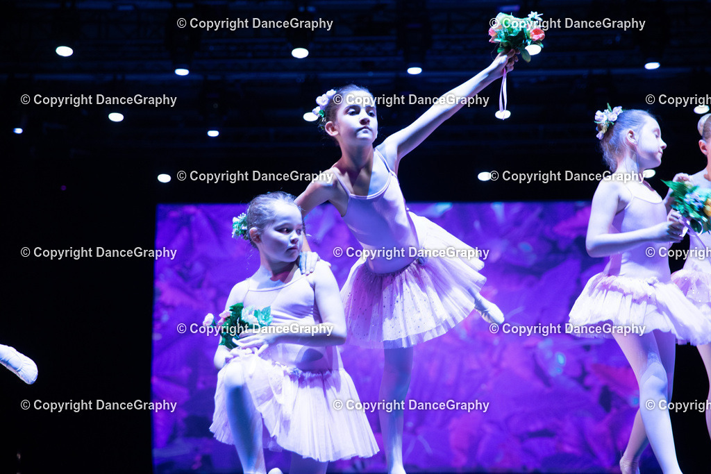 GPHY4873 | DanceGraphy - Realisiert mit Pictrs.com