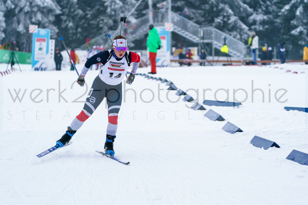 DP Oberwiesenthal | Alpencup/DP Deutschlandpokal in Oberwiesenthal am 15.-17.12.2023