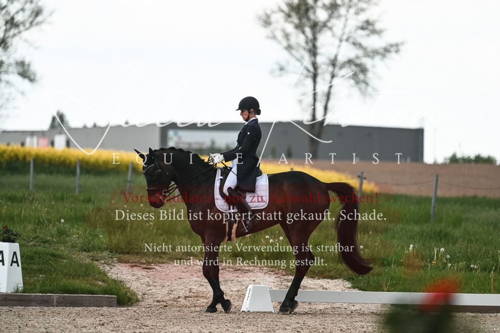 20230514_JK-Röhrsdorf-21-306 | Pferde- und Turnierfotografie in Westsachsen. Pferdeportraits, Auftragszeichnungen und intuitive Kunst.