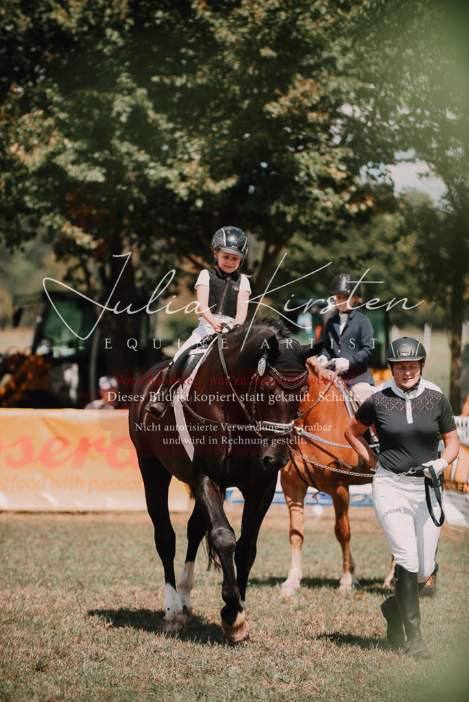 DSC_6192 | Pferde- und Turnierfotografie in Westsachsen. Pferdeportraits, Auftragszeichnungen und intuitive Kunst.