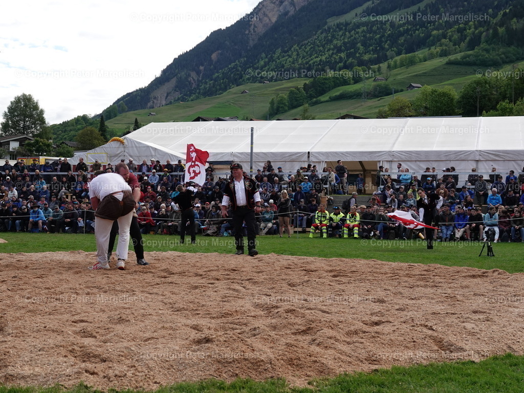 DSC07025 | Schwingen - Realisiert mit Pictrs.com